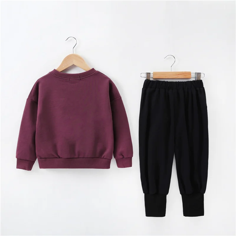 Spring Autumn Girls Clothing Sets Teens Girls Sweatshirt + Harem Pants Suit 3-14years Kids Sport Suits 2pcs Top Harem Pant CA321
Spring Autumn Girls Clothing Sets Teens Girls Sweatshirt + Harem Pants Suit 3-14years Kids Sport Suits 2pcs Top Harem Pant CA321