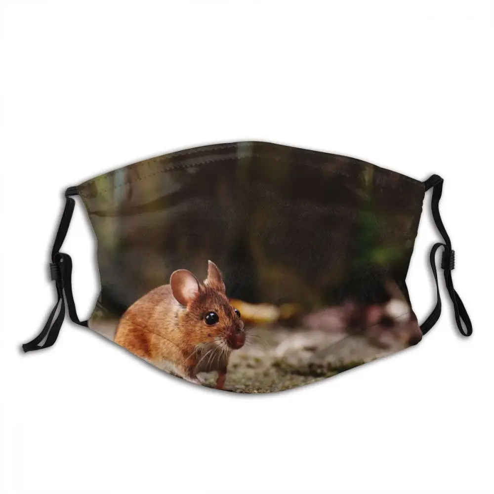 Mouse Animal Non Disposable Printed Mouth Face Mask Filters Windproof Cold Proof Polyester Protection Cover Respirator for Adult
Mouse Animal Non Disposable Printed Mouth Face Mask Filters Windproof Cold Proof Polyester Protection Cover Respirator for Adult