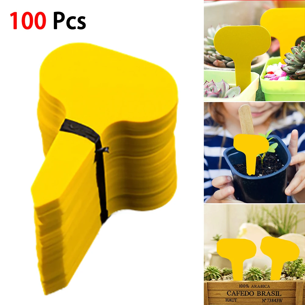 Garden 100Pcs Waterproof T-shaped Label Can Writing Ground Inserting Label PVC Plastic Labels Plant Flexible Sign 5*2.5
Garden 100Pcs Waterproof T-shaped Label Can Writing Ground Inserting Label PVC Plastic Labels Plant Flexible Sign 5*2.5