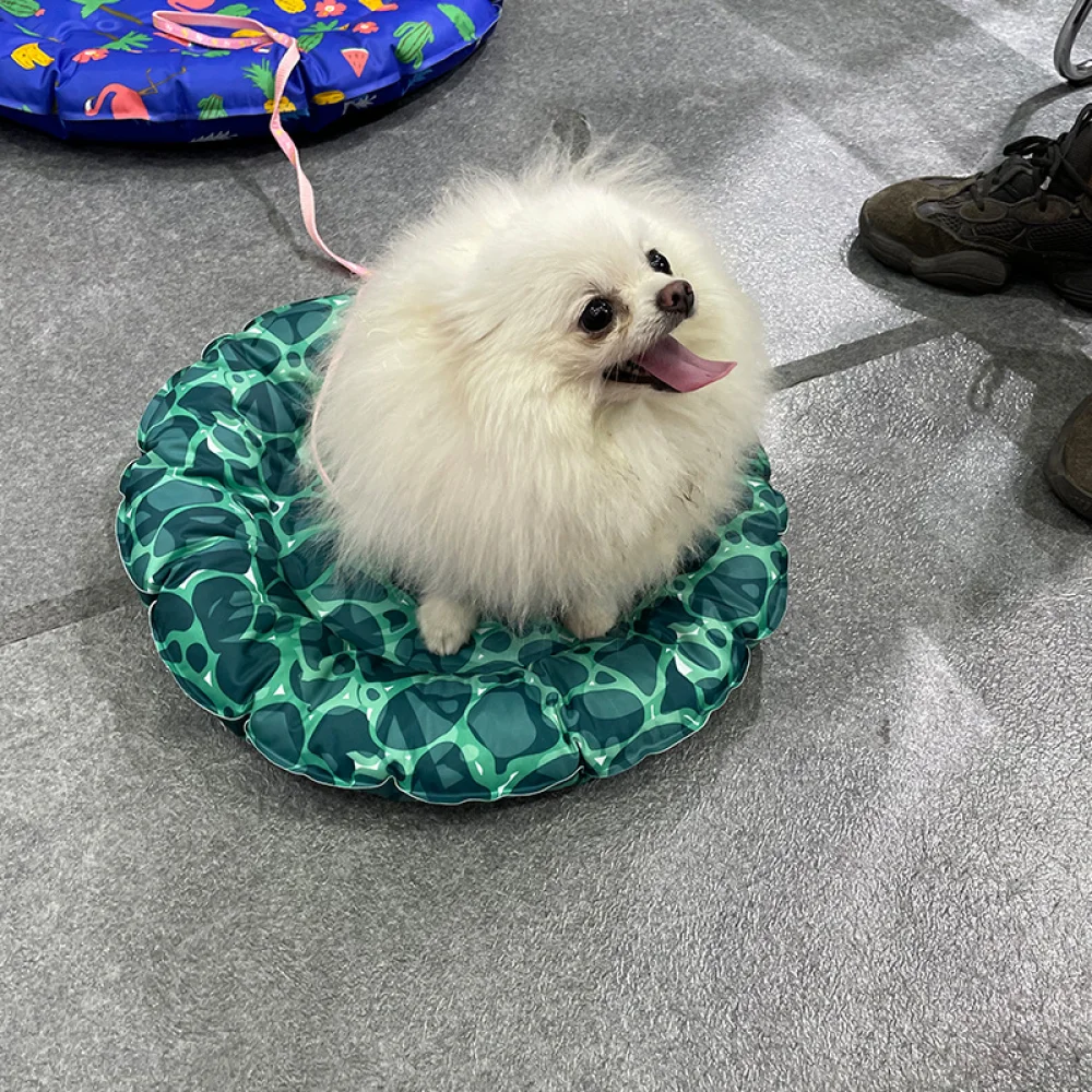 40cm Summer Mats Fruit Pattern Gel Ice Mat Round Pet Cat Dog Bed Cushion Pet Mat Dog Bed Summer Cats Beds Breathable Cool Bed
40cm Summer Mats Fruit Pattern Gel Ice Mat Round Pet Cat Dog Bed Cushion Pet Mat Dog Bed Summer Cats Beds Breathable Cool Bed