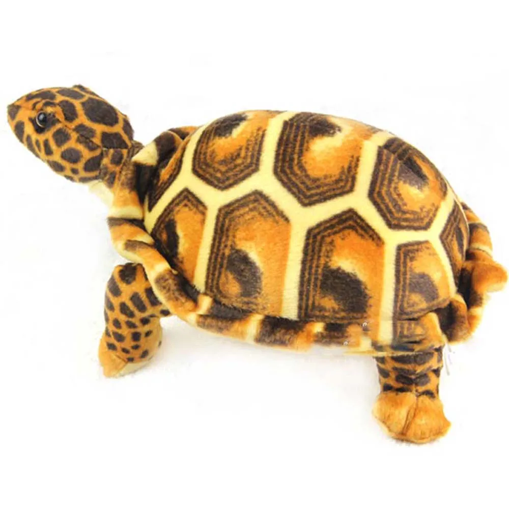 

Tortoise see animal Children plush toy simulation turtle birthday gift kids baby stuffed toy