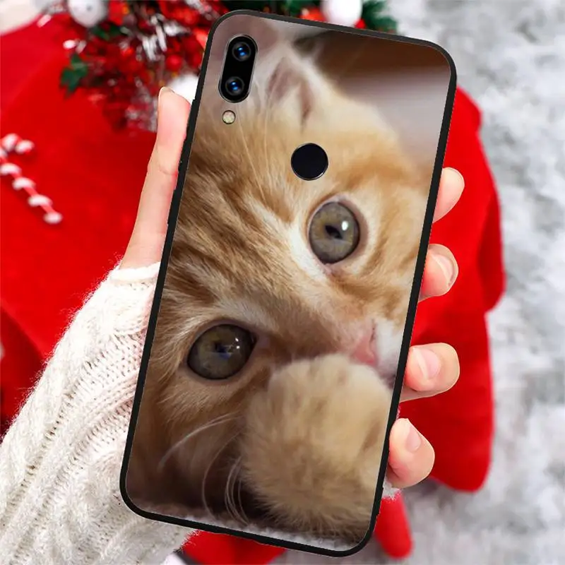 Lovely animal cat pattern Phone Case For Xiaomi Redmi note 7 8 9 t max3 s 10 pro lite coque shell cover funda
Lovely animal cat pattern Phone Case For Xiaomi Redmi note 7 8 9 t max3 s 10 pro lite coque shell cover funda
