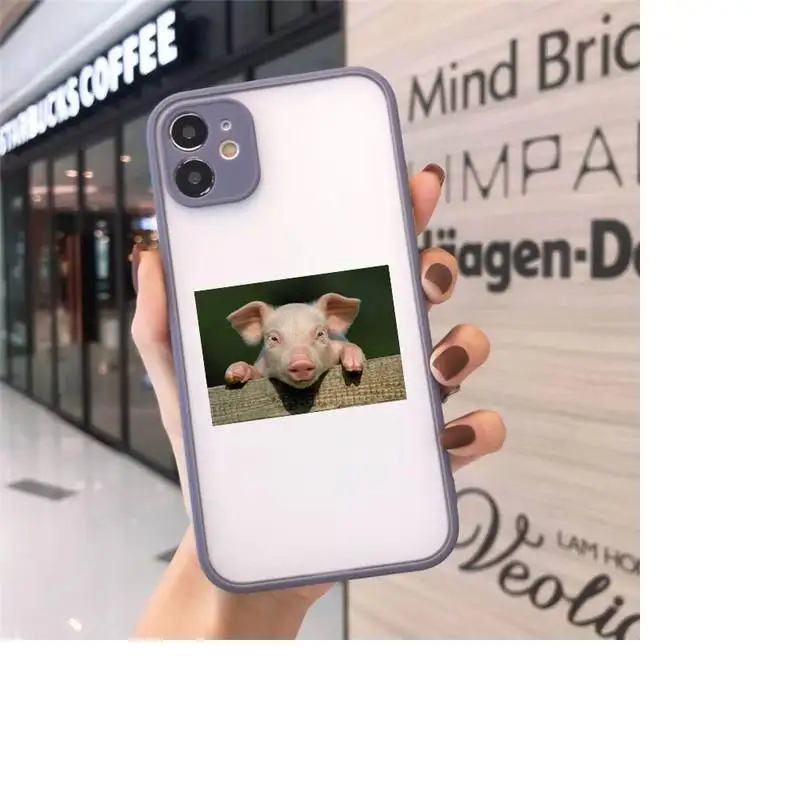 Cute Little Pink Pet Pig animal Phone Cases matte transparent For iphone 7 8 11 12 plus mini x xs xr pro max cover
Cute Little Pink Pet Pig animal Phone Cases matte transparent For iphone 7 8 11 12 plus mini x xs xr pro max cover