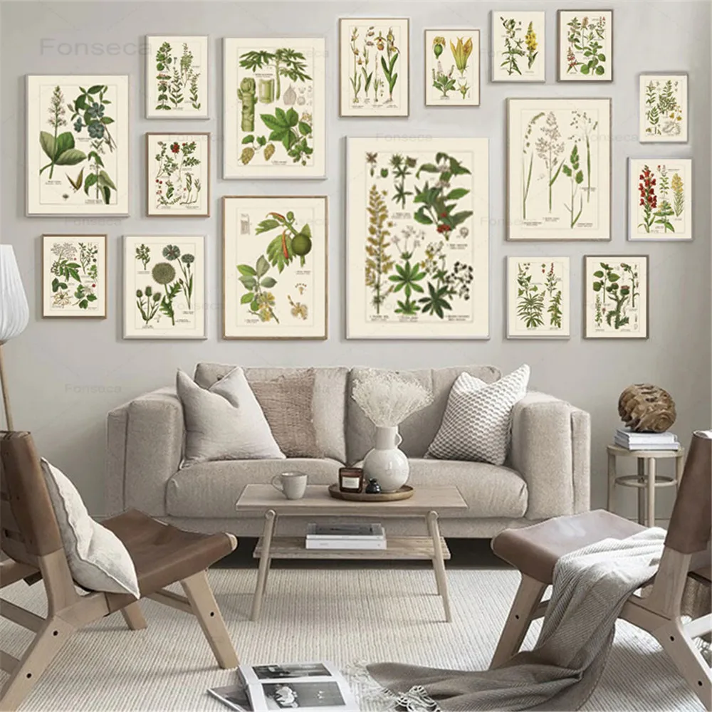 Plant Education Poster Classroom Wall Art Canvas Paintings on The Wall Vintage Decorative Painting for Bed Room Modular Picture
Plant Education Poster Classroom Wall Art Canvas Paintings on The Wall Vintage Decorative Painting for Bed Room Modular Picture