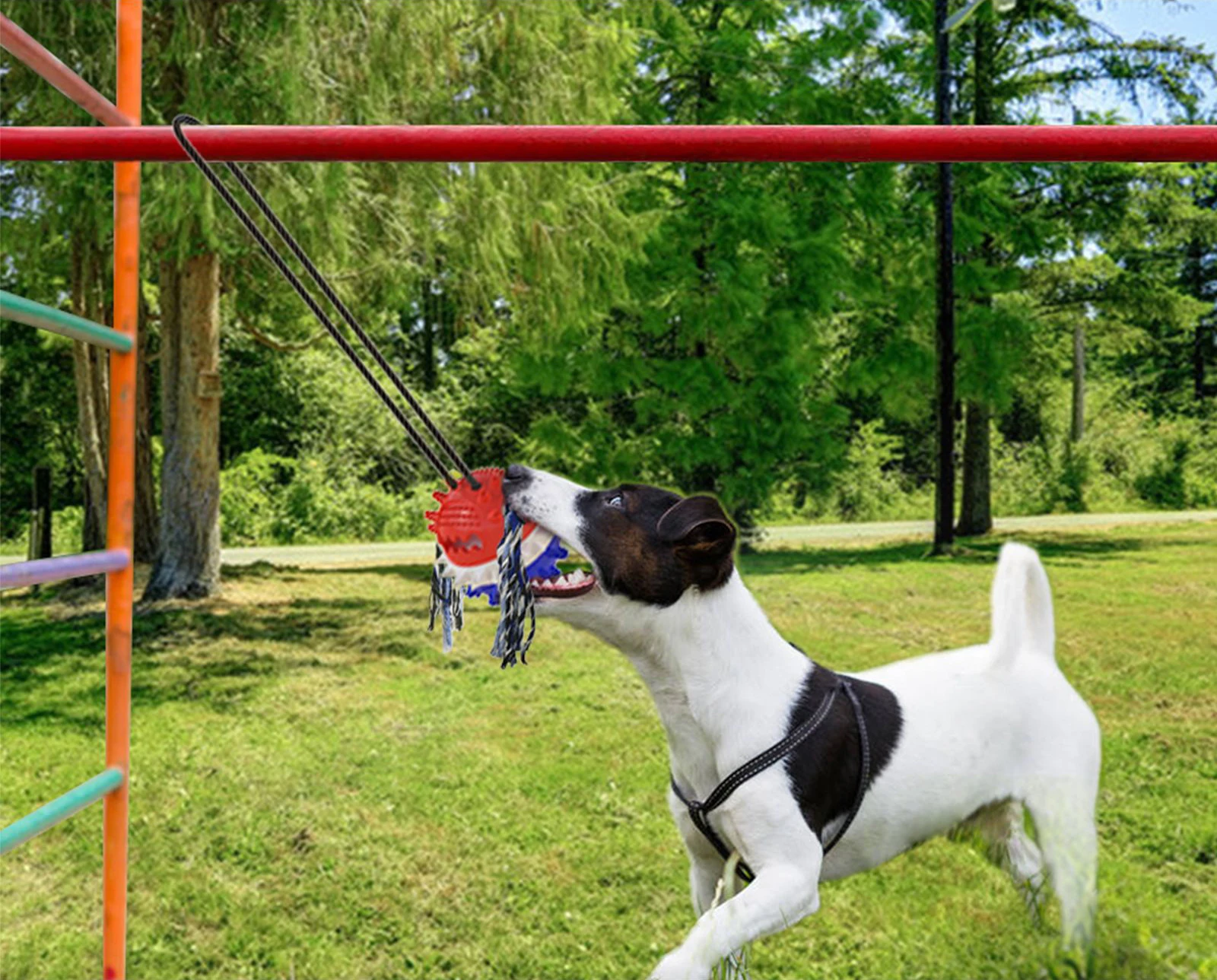 Outdoor Dog Tug Toy, Chew Toy, Interactive Tug-of -War Game for Aggressive Chewers Dog Training Teething Indestructible Rope
Outdoor Dog Tug Toy, Chew Toy, Interactive Tug-of -War Game for Aggressive Chewers Dog Training Teething Indestructible Rope