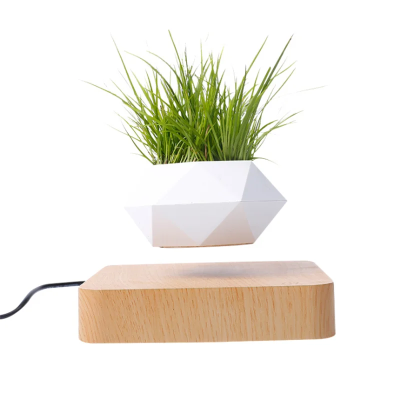 Levitating Air Bonsai Pot 360 Degree Rotation Flower Pot Planters Magnetic Suspension Floating Pot Potted Plant Home decoration
Levitating Air Bonsai Pot 360 Degree Rotation Flower Pot Planters Magnetic Suspension Floating Pot Potted Plant Home decoration