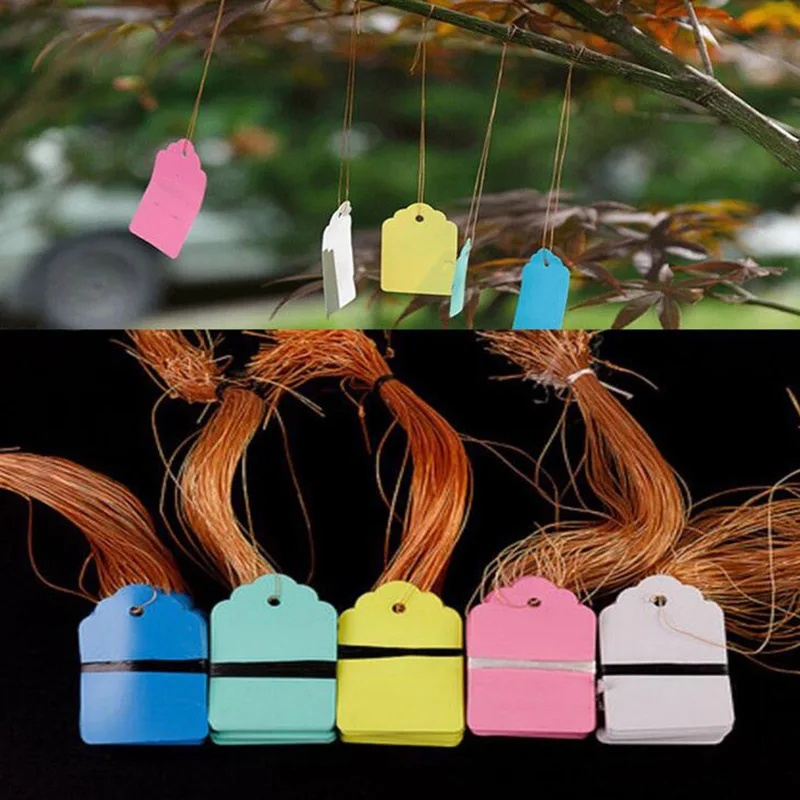 100pcs PVC Plant tags Labels Flower Pots hangling Markers Sign Tree Waterproof Tags herbs seeeding Garden Tools supplies color
100pcs PVC Plant tags Labels Flower Pots hangling Markers Sign Tree Waterproof Tags herbs seeeding Garden Tools supplies color