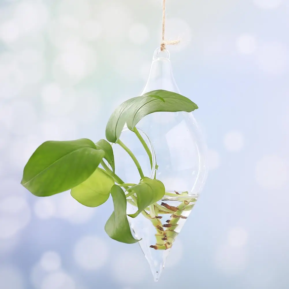 Подвесная стеклянная ваза подвесной Террариум растение цветок креативная