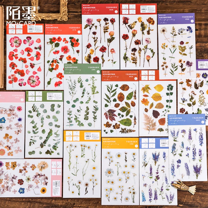 1 Sheet PVC Sticker Dried Flower Collection Light Retro Watercolor Plant Flower Daisy Hand Account
1 Sheet PVC Sticker Dried Flower Collection Light Retro Watercolor Plant Flower Daisy Hand Account