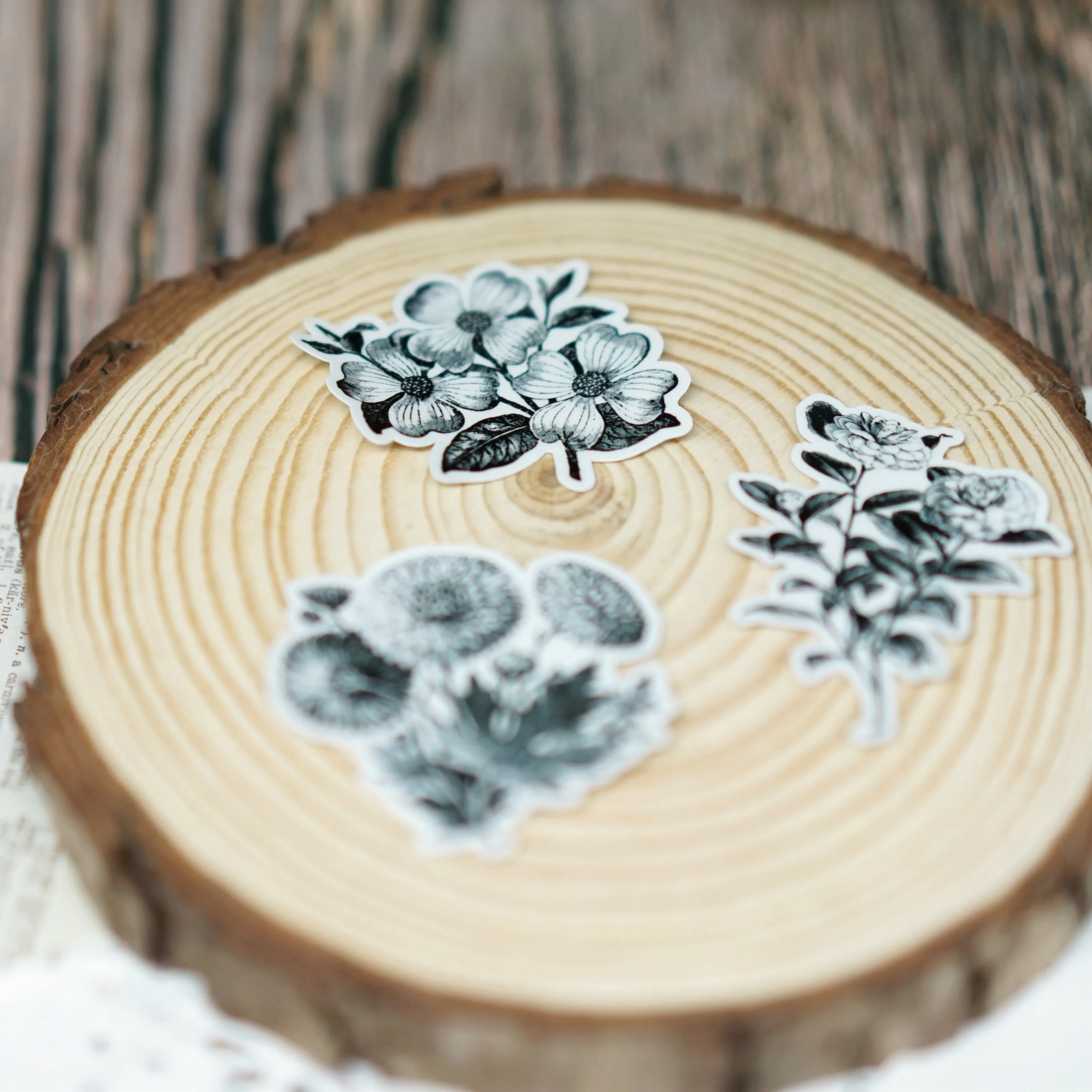 Vintage Black And White Plant Illustration Sticker DIY Scrapbook Base Collage Phone Diary Album Happy Plan Gift Seal Decoration
Vintage Black And White Plant Illustration Sticker DIY Scrapbook Base Collage Phone Diary Album Happy Plan Gift Seal Decoration