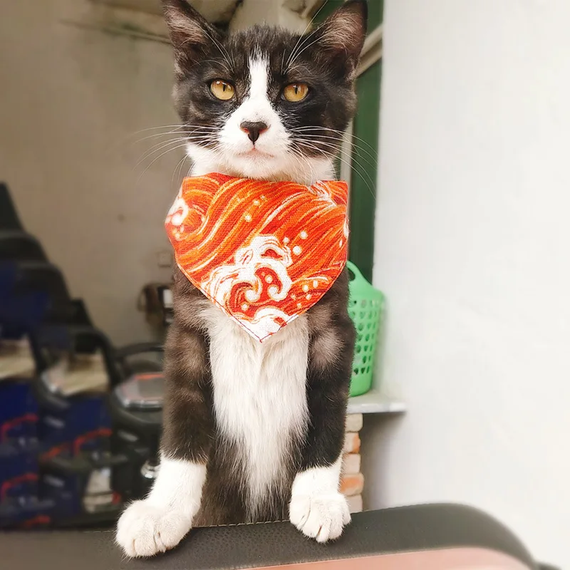 Cat Accessories Cat Collar Personalized Dog Scarf Cute Yorkshire Terrier Collar Scarf Dog Accessories Puppy Collar Fashion Scarf
Cat Accessories Cat Collar Personalized Dog Scarf Cute Yorkshire Terrier Collar Scarf Dog Accessories Puppy Collar Fashion Scarf