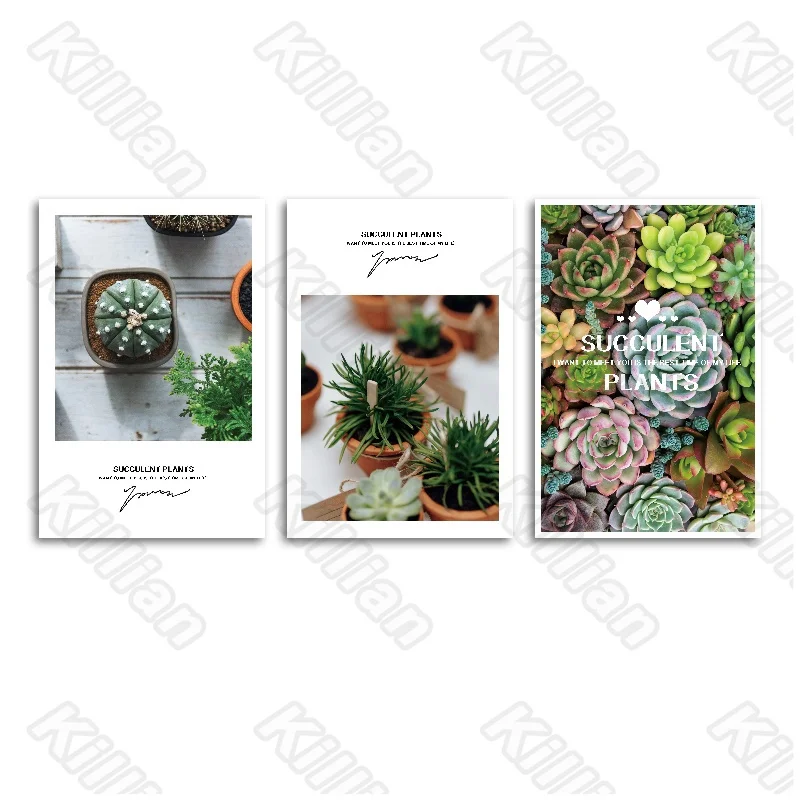 Succulents Frameless Poster Home Bedroom Decorative Living Room Decoration Canvas Painting Hd Print Vegetation Style Fresco
Succulents Frameless Poster Home Bedroom Decorative Living Room Decoration Canvas Painting Hd Print Vegetation Style Fresco