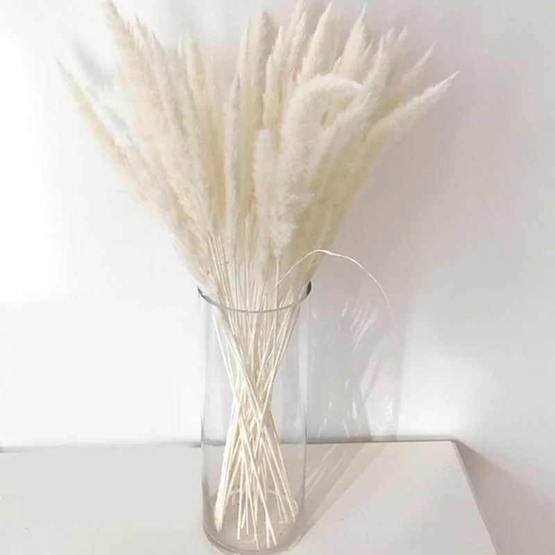 

55cm/pcs Pampas Grass Dried Natural Phragmites Flowers Decor Home Wedding Christmas Big Reed Plants Flower Bouquet Decoration