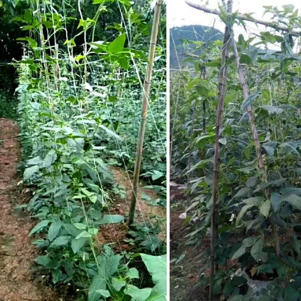 Plant Trellis Netting Heavy-Duty Polyester Plant Support Vine Climbing Hydroponics Garden Net Accessories Multi Use
Plant Trellis Netting Heavy-Duty Polyester Plant Support Vine Climbing Hydroponics Garden Net Accessories Multi Use