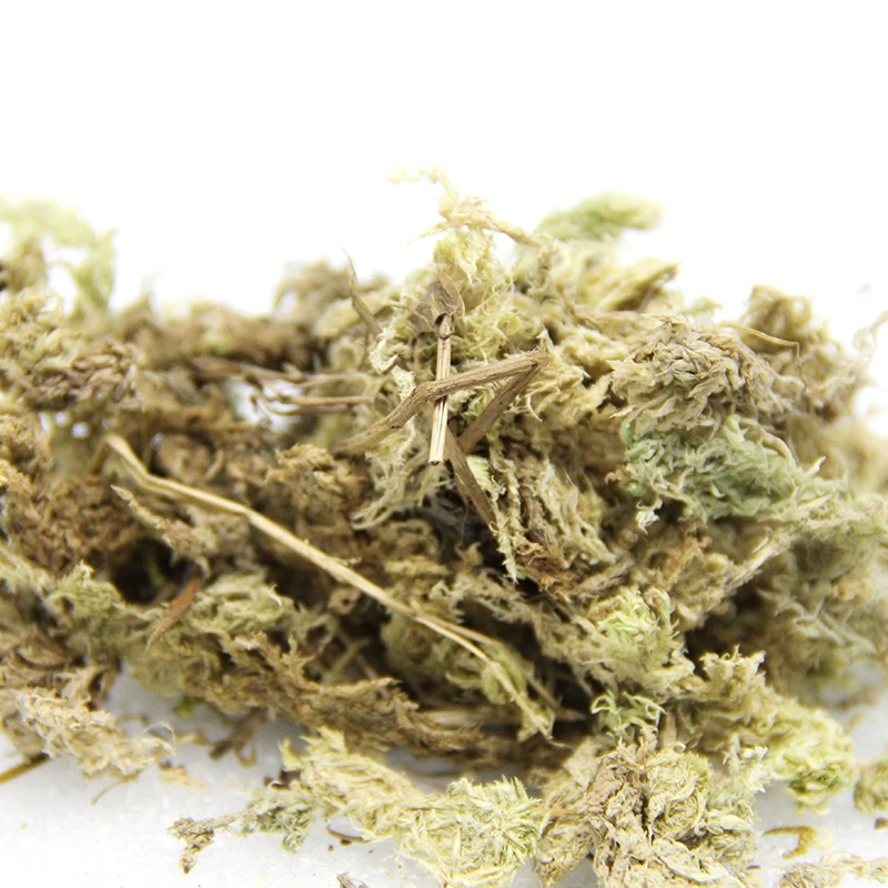 20*12cm Sphagnum Moss Garden Sphagnum Moss Moisturizing Nutrition Organic Fertilizer For Phalaenopsis Orchid Musgo Sphagnum
20*12cm Sphagnum Moss Garden Sphagnum Moss Moisturizing Nutrition Organic Fertilizer For Phalaenopsis Orchid Musgo Sphagnum