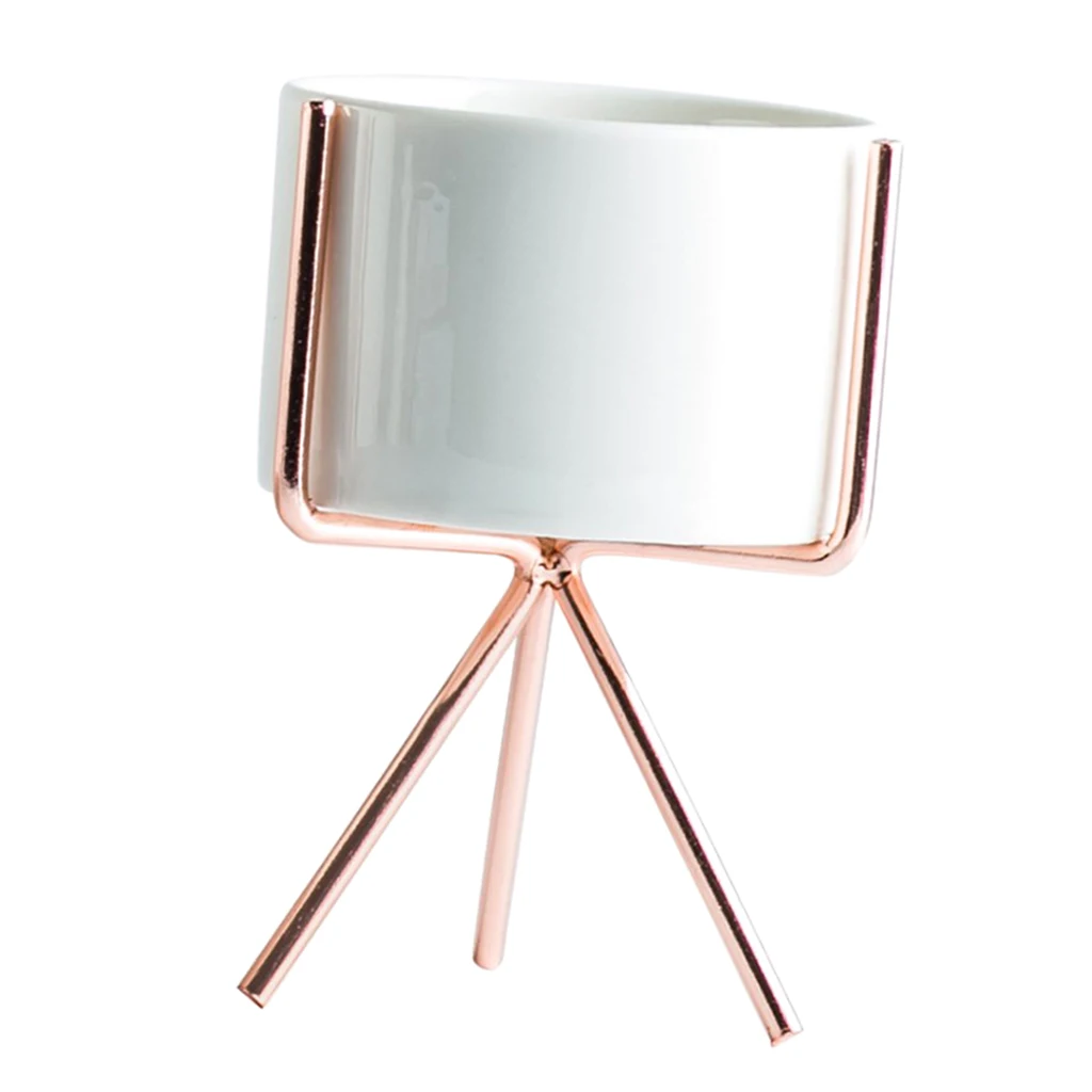 Nordic Style Metal Plant Stand Rack with Flower Pot S-Rose Gold 5.5cm Pot Plant Display Stand with Pot Flower Stand 
Nordic Style Metal Plant Stand Rack with Flower Pot S-Rose Gold 5.5cm Pot Plant Display Stand with Pot Flower Stand