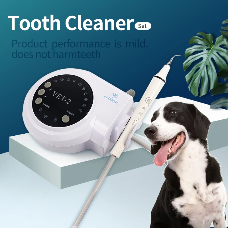 Pet Ultrasonic Dental Scaler With 5 Tips Pet Oral Hygiene Instruments Kit for Pet Teeth whitening Dental Tools
Pet Ultrasonic Dental Scaler With 5 Tips Pet Oral Hygiene Instruments Kit for Pet Teeth whitening Dental Tools