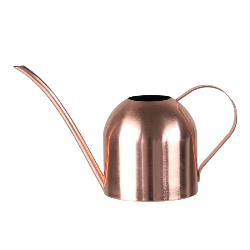 Stainless Steel Watering Pot Gardening Potted Small Watering Can Use Handle Perfect For Watering Flower Plants Shower For Garden
Stainless Steel Watering Pot Gardening Potted Small Watering Can Use Handle Perfect For Watering Flower Plants Shower For Garden
