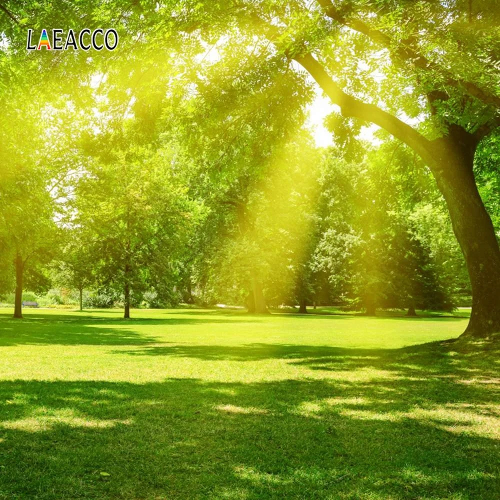 Laeacco Spring Scenery Photophone Forest Green Trees Sunshine Grassland Baby Portrait Photo Backdrops Photography Backgrounds
Laeacco Spring Scenery Photophone Forest Green Trees Sunshine Grassland Baby Portrait Photo Backdrops Photography Backgrounds