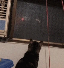 5MW Laser Pointer High Power Green Blue Red Dot Laser Light Pen Powerful Focus Laser Sight Hunting Teaching Training Cat Toy
5MW Laser Pointer High Power Green Blue Red Dot Laser Light Pen Powerful Focus Laser Sight Hunting Teaching Training Cat Toy