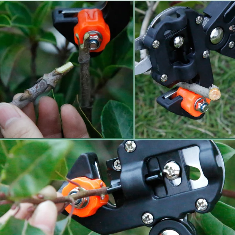 Garden Grafting Tool Farming Pruning Shears Scissor Fruit Tree Vaccination Secateurs Pruning Cutting Garden Tool
Garden Grafting Tool Farming Pruning Shears Scissor Fruit Tree Vaccination Secateurs Pruning Cutting Garden Tool