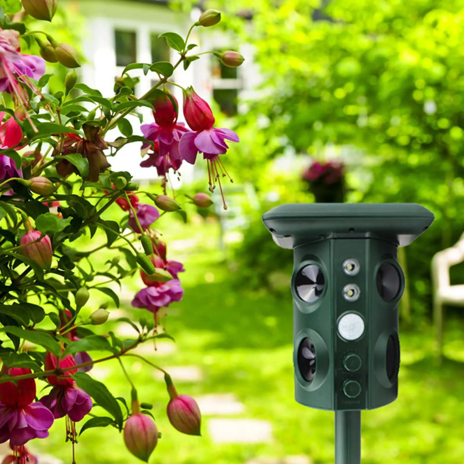Solar Rat Repeller Outdoor Motion Detector Flashing Light Dog Repellent For Skunk Mole Deer Powerful Sound Waves
Solar Rat Repeller Outdoor Motion Detector Flashing Light Dog Repellent For Skunk Mole Deer Powerful Sound Waves