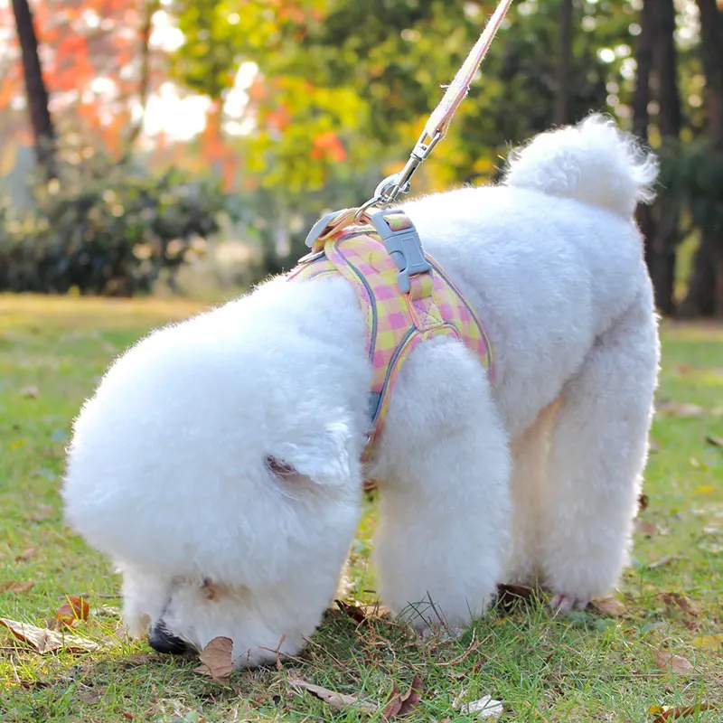 Dog Cat Harness Vest Adjustable Puppy Kitten Collars Cute Walking Lead Leash Set Chihuahua Harnesses Necklace For Small Dogs Pug 
Dog Cat Harness Vest Adjustable Puppy Kitten Collars Cute Walking Lead Leash Set Chihuahua Harnesses Necklace For Small Dogs Pug