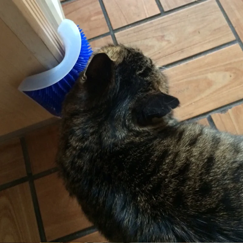 Corner Pet Brush Comb Play Cat Toy Plastic Scratch Bristles Arch Massager Self Grooming Cat Scratcher
Corner Pet Brush Comb Play Cat Toy Plastic Scratch Bristles Arch Massager Self Grooming Cat Scratcher