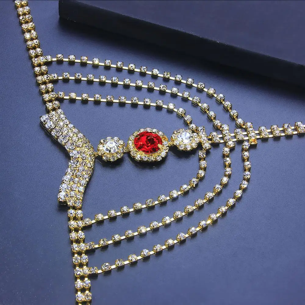 Sexy Body Chain Lingerie Red Crystal Thong Panties Jewelry for Women Silver Color Rhinestone Belly Waist Chain Body Jewelry Gift 
Sexy Body Chain Lingerie Red Crystal Thong Panties Jewelry for Women Silver Color Rhinestone Belly Waist Chain Body Jewelry Gift