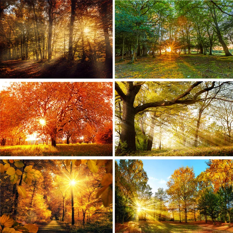 SHENGYONGBAO Vinyl Custom Photography Backdrops Prop Light landscape Photography Background 200309HV-01
SHENGYONGBAO Vinyl Custom Photography Backdrops Prop Light landscape Photography Background 200309HV-01