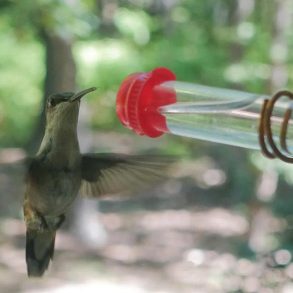 Hummingbird Feeder with Suction Cup Window Mount Bird Feeder for Home Outdoor Patio Garden Decoration
Hummingbird Feeder with Suction Cup Window Mount Bird Feeder for Home Outdoor Patio Garden Decoration