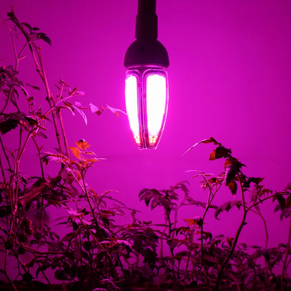 (2pcs/Lot) Full Spectrum 150W LED Grow Light Corn Bulb AC85V~265V Indoor Greenhouse Grow Tent Plants Growth Led Lamp Wholesale
(2pcs/Lot) Full Spectrum 150W LED Grow Light Corn Bulb AC85V~265V Indoor Greenhouse Grow Tent Plants Growth Led Lamp Wholesale