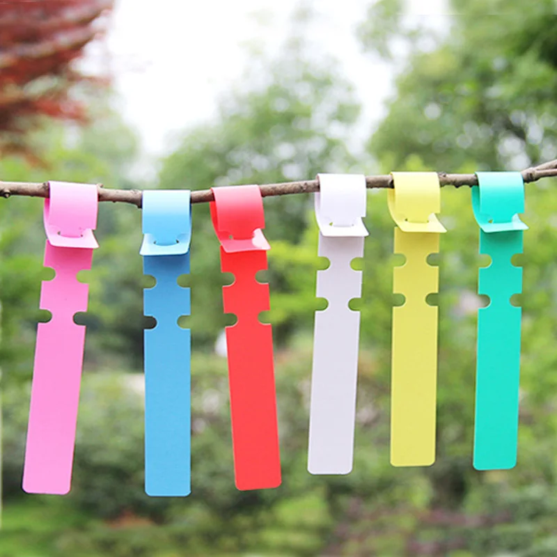 100 Pcs Plant Tags Garden Nursery Label Hanging Tree Markers Seedling Plant Fruit Trees Signs Prompt Card Classification Tool
100 Pcs Plant Tags Garden Nursery Label Hanging Tree Markers Seedling Plant Fruit Trees Signs Prompt Card Classification Tool
