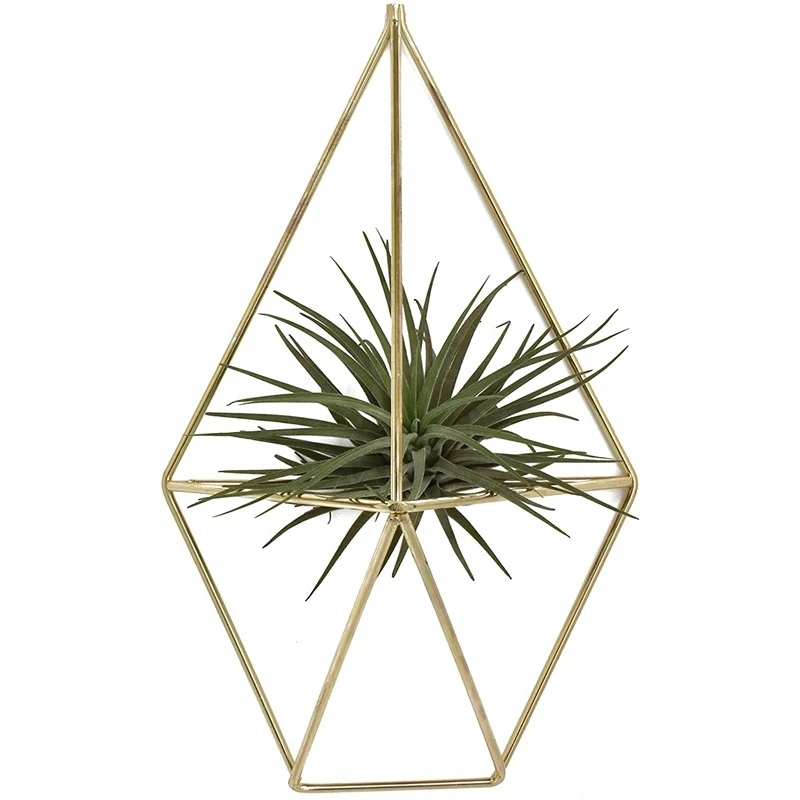 Wall Mount Hanging Irregular Pentagon Geometric Metal Tillandsia Air Plants Holder Rack Wall Accent Decor for Himmeli
Wall Mount Hanging Irregular Pentagon Geometric Metal Tillandsia Air Plants Holder Rack Wall Accent Decor for Himmeli