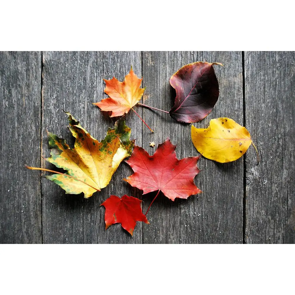 SHENGYONGBAO Vinyl Custom Photography Backdrops Prop Wooden Planks Theme Photography Background 200309HZ-0019
