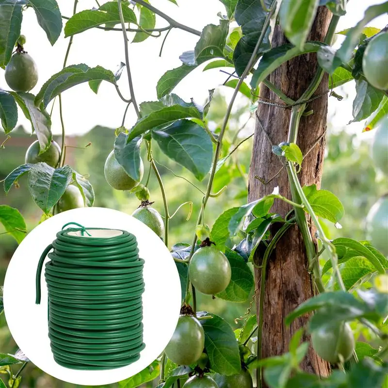 1 Roll Efficient Durable Simple Gardening Cable Tie Vine Climbing Plant Fastener
1 Roll Efficient Durable Simple Gardening Cable Tie Vine Climbing Plant Fastener