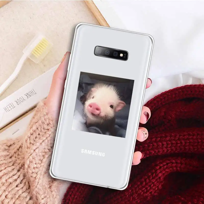 Cute animal Little Pink Pet Pig Phone Case Transparent For Samsung Galaxy A 71 21s S note 8 9 10 plus 20 ultra
Cute animal Little Pink Pet Pig Phone Case Transparent For Samsung Galaxy A 71 21s S note 8 9 10 plus 20 ultra