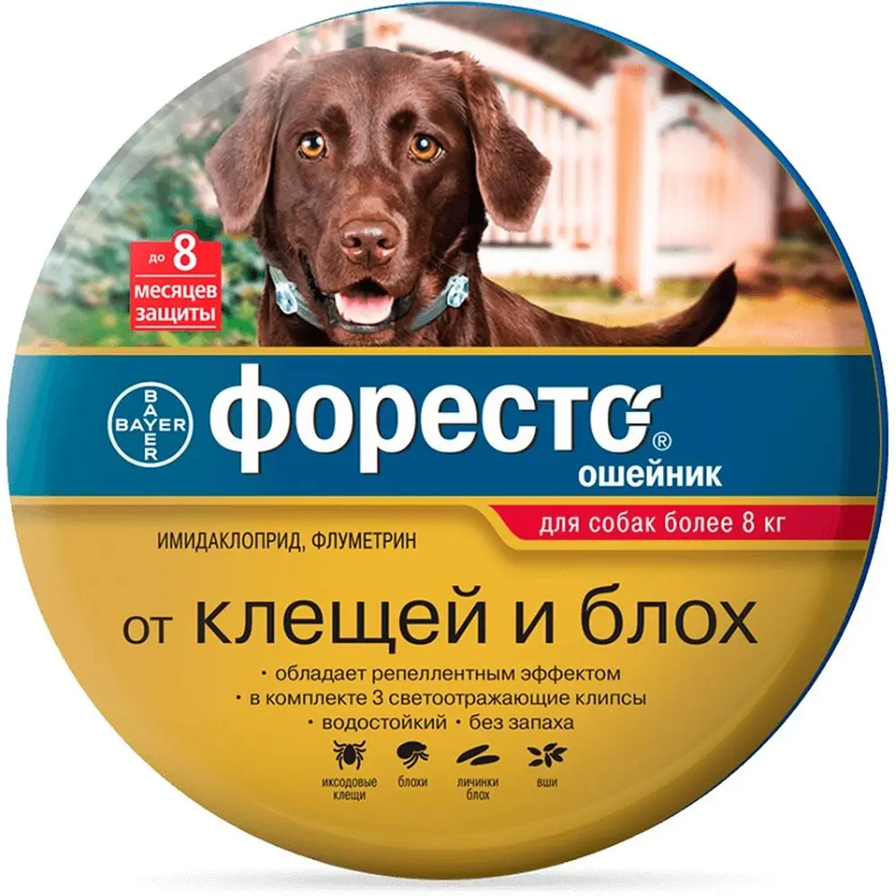 Bayer Foresto (Форесто) ошейник для щенков и собак более 8 кг от клещей блох 70 см | Дом сад