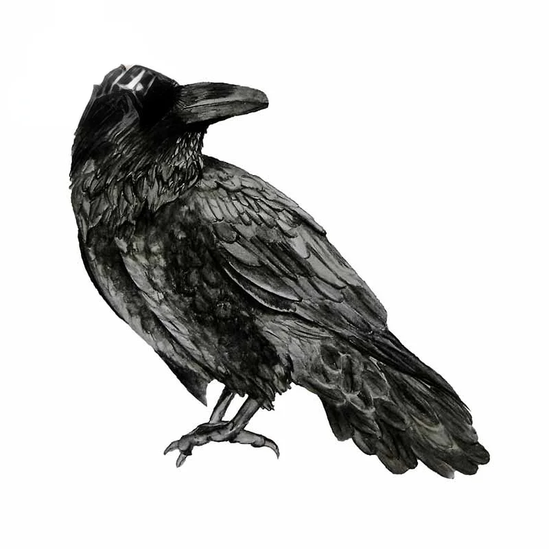 Personalized Raven Car Stickers Motorcycle Helmet Fine Waterproof Anime Creative Laptop Decal for VAN Decoration KK13*8cm
Personalized Raven Car Stickers Motorcycle Helmet Fine Waterproof Anime Creative Laptop Decal for VAN Decoration KK13*8cm