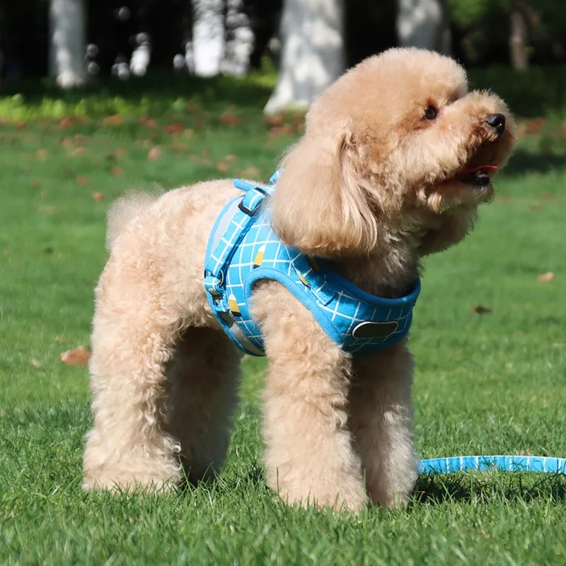 Reflective Adjustable Cat Harness Pet Vest Square Cat Chest Vest and Leash Set Dog Mesh Harness For Small Medium Pet Supplies
Reflective Adjustable Cat Harness Pet Vest Square Cat Chest Vest and Leash Set Dog Mesh Harness For Small Medium Pet Supplies