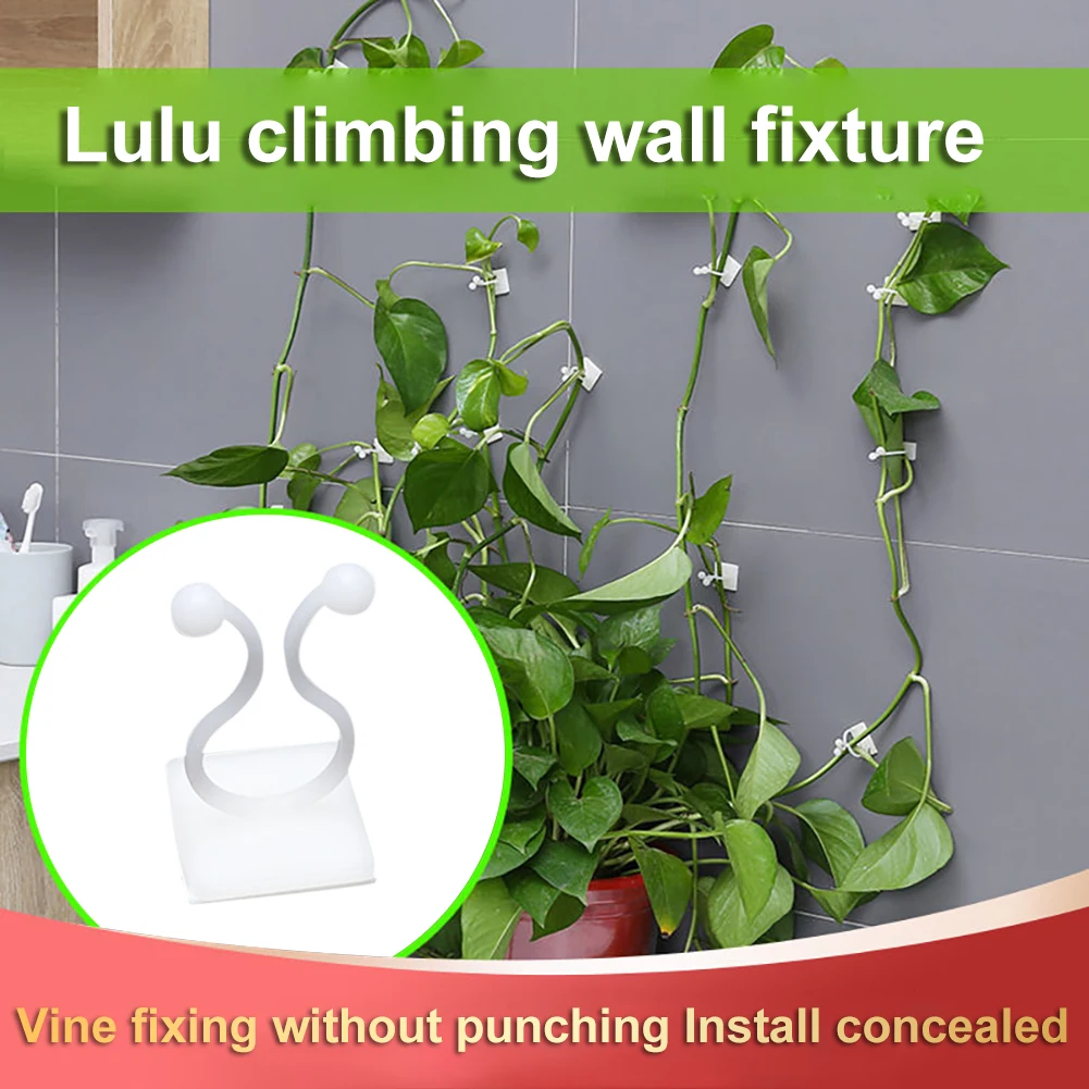 10pcs Plant Climbing Wall Fixer Green Plant Fixer Vine Green Vine Climbing Wall Fixer Paste No Trace Hook
10pcs Plant Climbing Wall Fixer Green Plant Fixer Vine Green Vine Climbing Wall Fixer Paste No Trace Hook