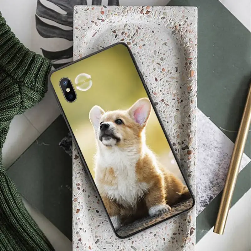 Cute Corgi dog pet animal Phone Case for iPhone 11 12 pro XS MAX 8 7 6 6S Plus X 5S SE 2020 XR
Cute Corgi dog pet animal Phone Case for iPhone 11 12 pro XS MAX 8 7 6 6S Plus X 5S SE 2020 XR