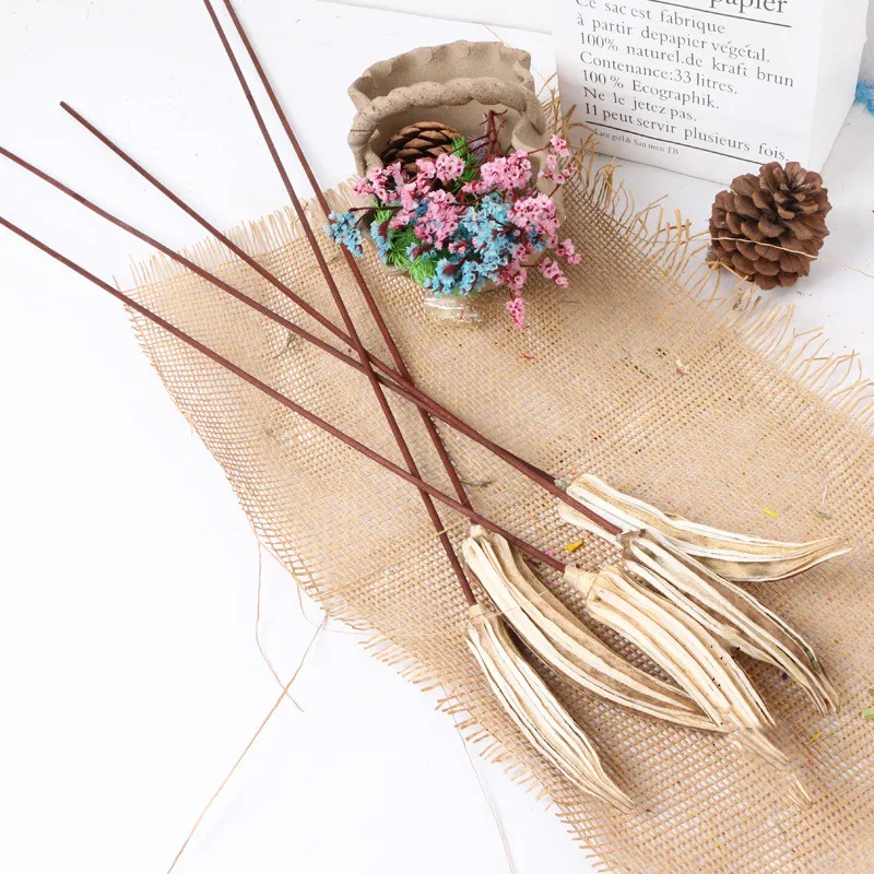 Natural Decorative Gumbo Easter Home Decoration Wall Decor Valentine Real Plant DIY Bunch Of Dried Flowers Wedding Party
Natural Decorative Gumbo Easter Home Decoration Wall Decor Valentine Real Plant DIY Bunch Of Dried Flowers Wedding Party