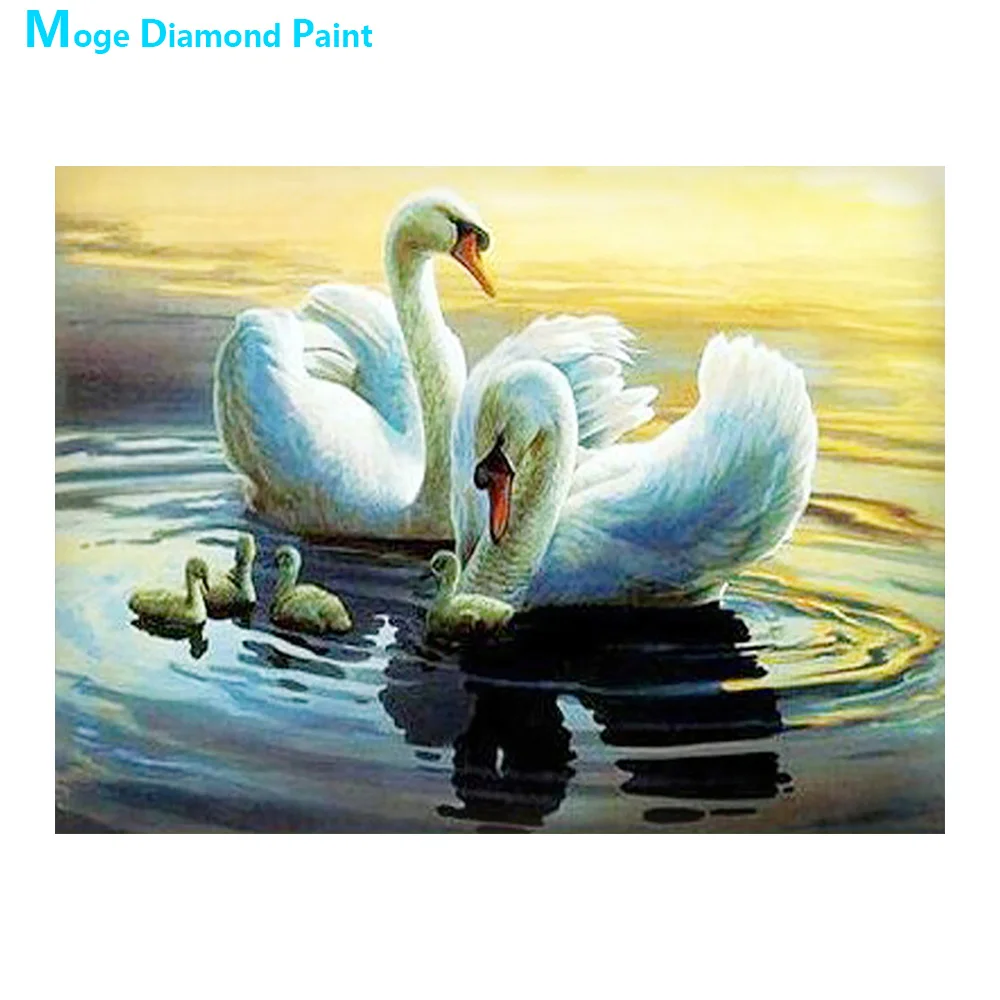 Swan Family Diamond Painting Round Full Drill Animal Nouveaute DIY Mosaic Embroidery 5D Cross Stitch Home Decor Gifts
Swan Family Diamond Painting Round Full Drill Animal Nouveaute DIY Mosaic Embroidery 5D Cross Stitch Home Decor Gifts