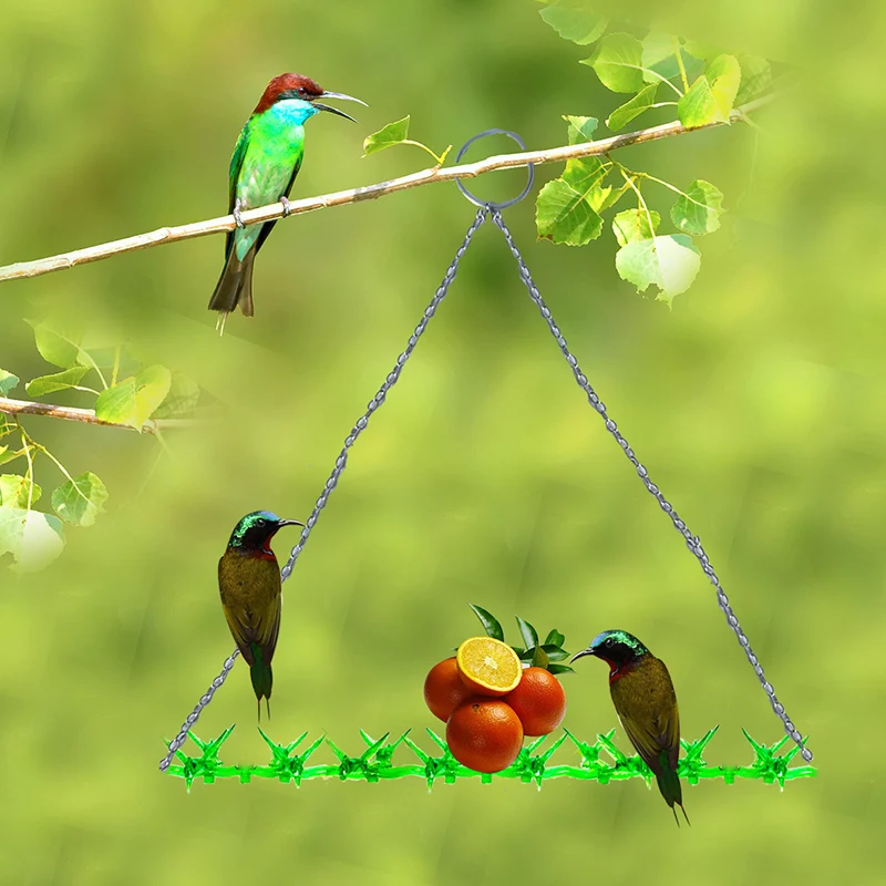 Creative Hummingbird Feeder Garden Bird Feeder Bird Feeding Tool with Hanging Pet Accessories Pet Bird Feeder Outdoor Supplies
Creative Hummingbird Feeder Garden Bird Feeder Bird Feeding Tool with Hanging Pet Accessories Pet Bird Feeder Outdoor Supplies