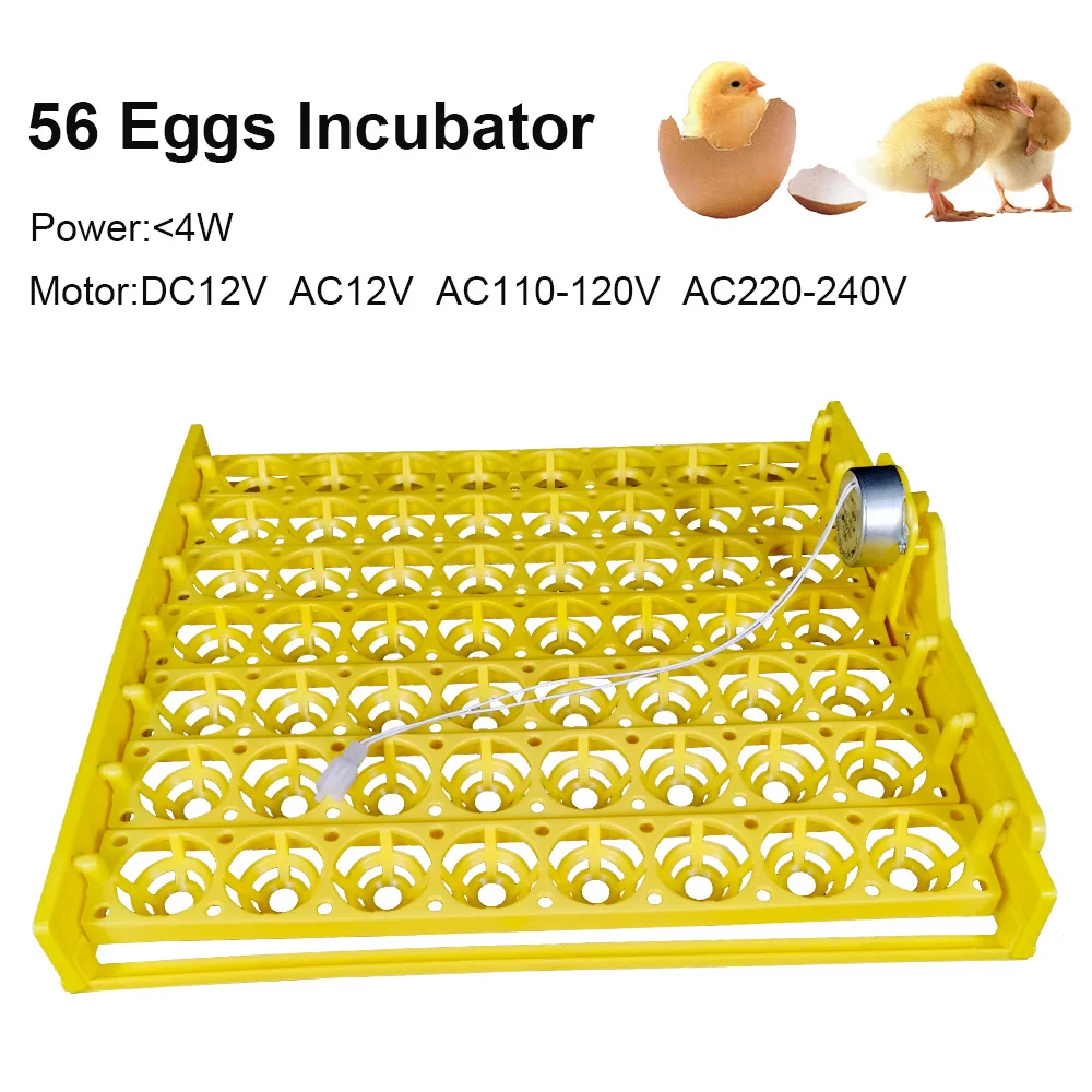 Egg Incubator Automatic 56 Plastic Eggs Chicken Eggs Hatching Machine 220V Incubator Trays with Auto Turn Motor
Egg Incubator Automatic 56 Plastic Eggs Chicken Eggs Hatching Machine 220V Incubator Trays with Auto Turn Motor