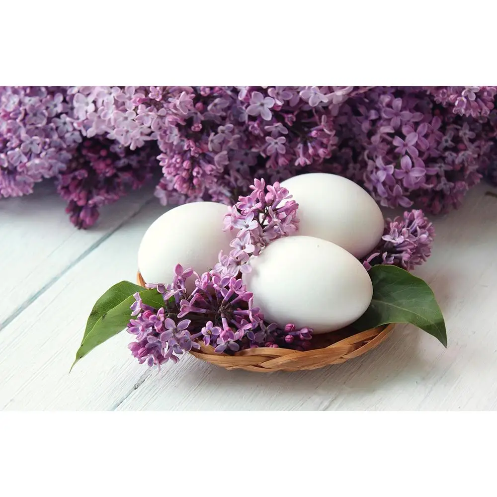 ZHISUXI Vinyl Custom Photography Backdrops Prop scenery+ Flower and Wooden Planks Photography Background 190117SK-0006
ZHISUXI Vinyl Custom Photography Backdrops Prop scenery+ Flower and Wooden Planks Photography Background 190117SK-0006