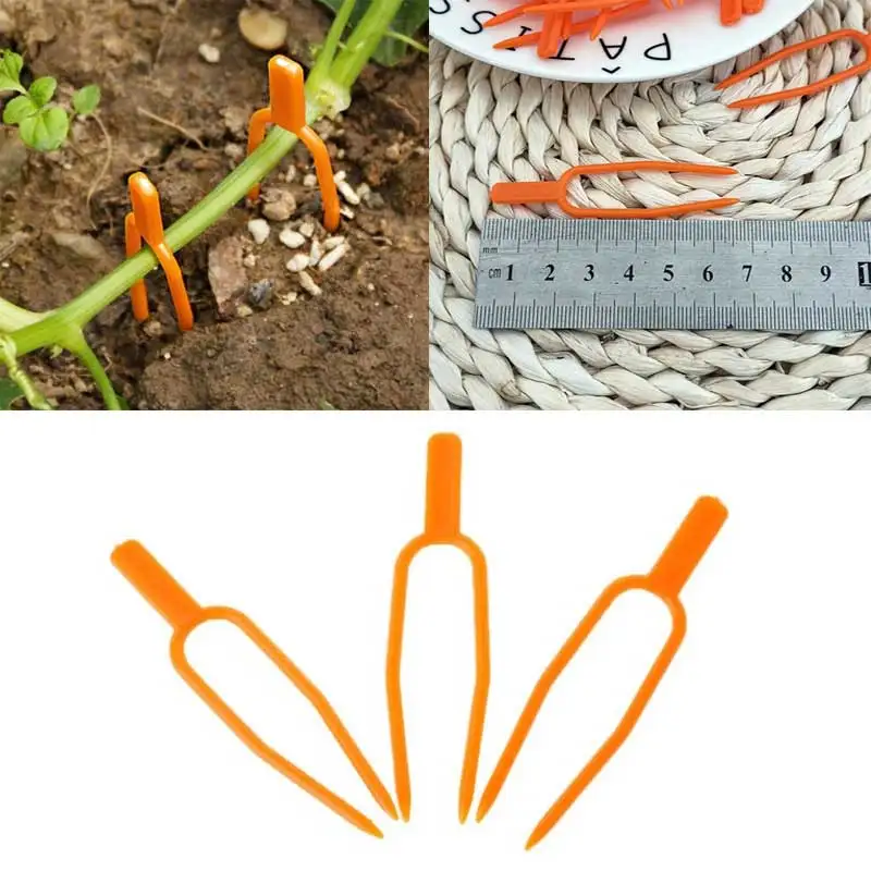50Pcs Seedling Fork Plants Support Plant Vine Holder Multifunction Plant Climbing Support Clips Plastic Durable Garden Tools
50Pcs Seedling Fork Plants Support Plant Vine Holder Multifunction Plant Climbing Support Clips Plastic Durable Garden Tools