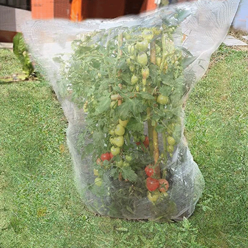 Polyethylene Inset Proof Net Protect Fruits from Damage Ventilate Resist-Corrosion and Reused Perfect for Outdoor FU
Polyethylene Inset Proof Net Protect Fruits from Damage Ventilate Resist-Corrosion and Reused Perfect for Outdoor FU