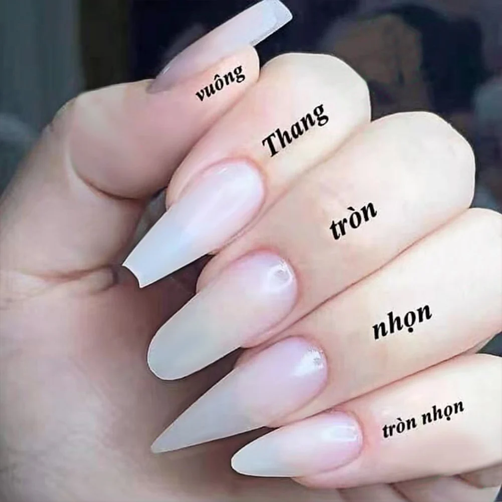 Fake Nail Tips Natural Nail Covers French Nail Style Nails for Nail DIY Salon Perfect Gift for Women Ontwerp Set DIY Tool 500pcs
Fake Nail Tips Natural Nail Covers French Nail Style Nails for Nail DIY Salon Perfect Gift for Women Ontwerp Set DIY Tool 500pcs